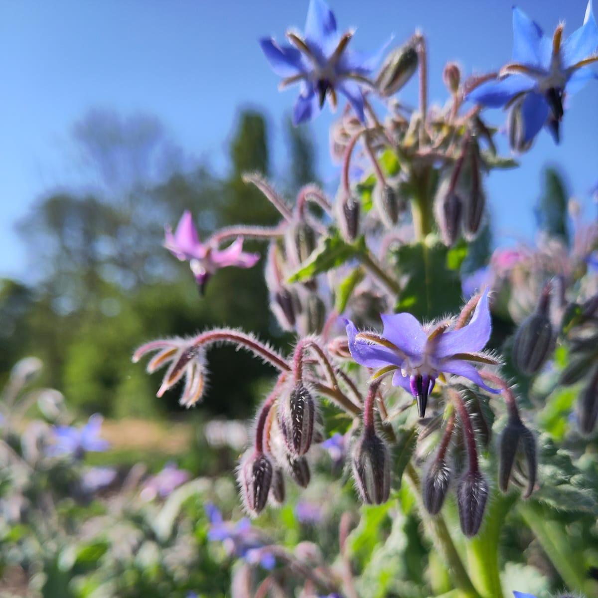 WhatsApp Image 2025-04-30 at 9.41.20 PM