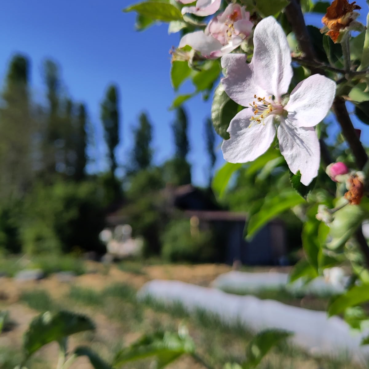 WhatsApp Image 2025-04-30 at 9.41.22 PM (2)