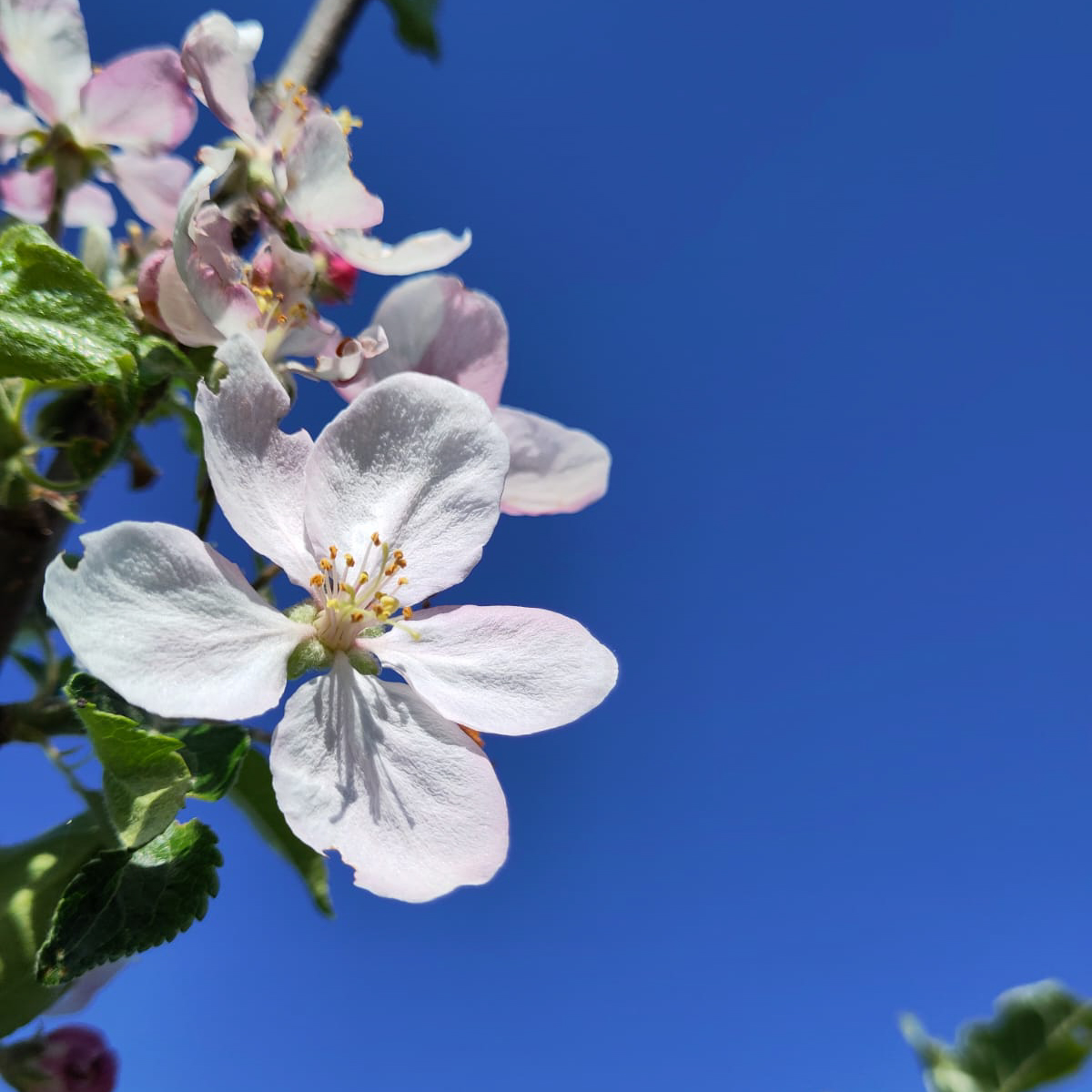 WhatsApp Image 2025-04-30 at 9.41.22 PM