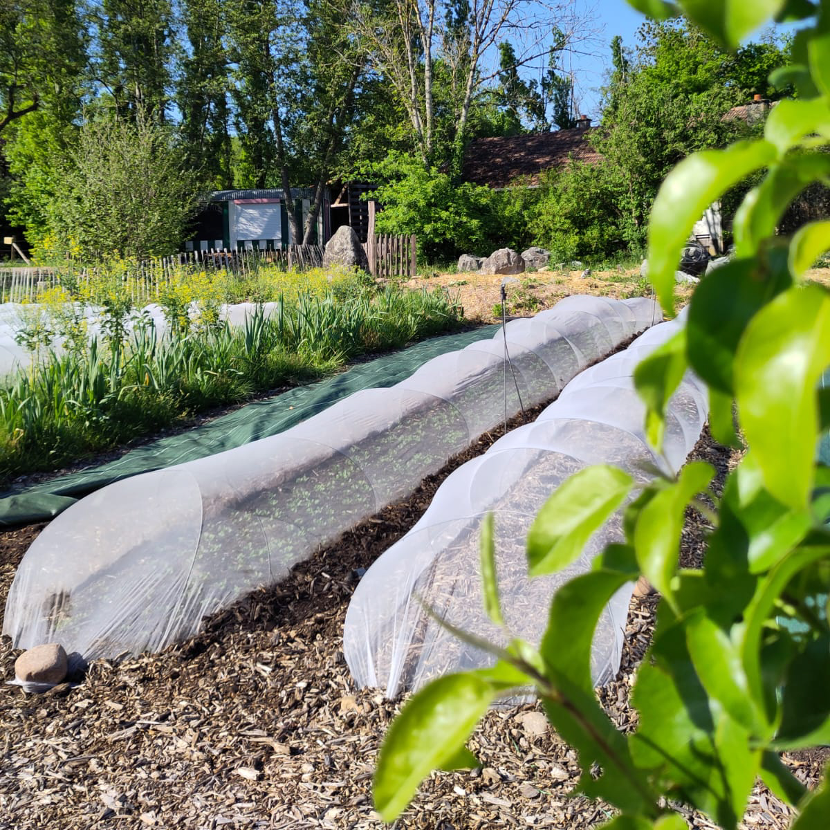 WhatsApp Image 2025-04-30 at 9.41.24 PM