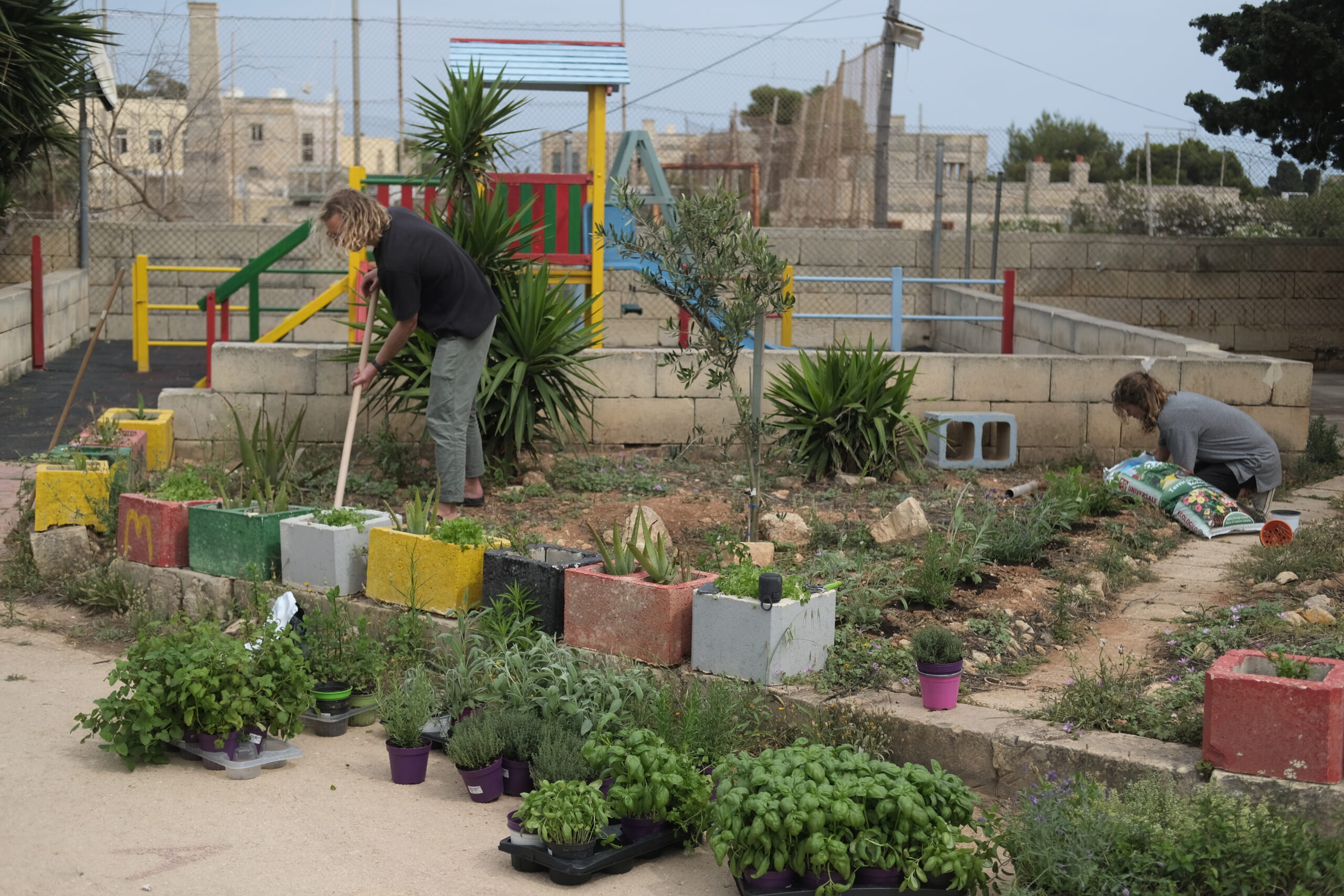 Malta_herb_garden_2